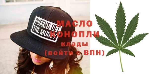 шишки Лабытнанги