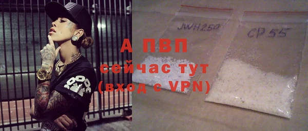 индика Медногорск