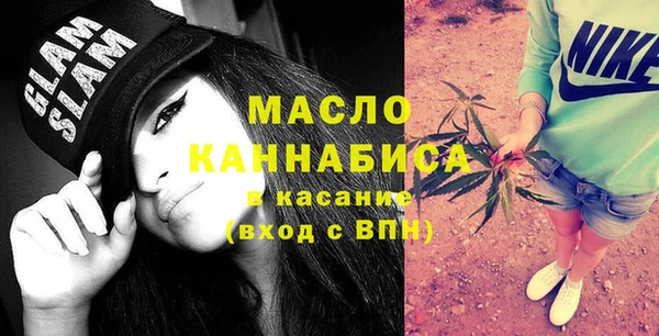 шишки Лабытнанги