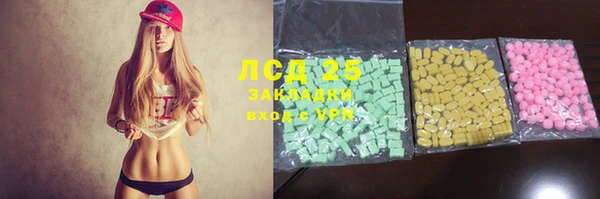 индика Медногорск