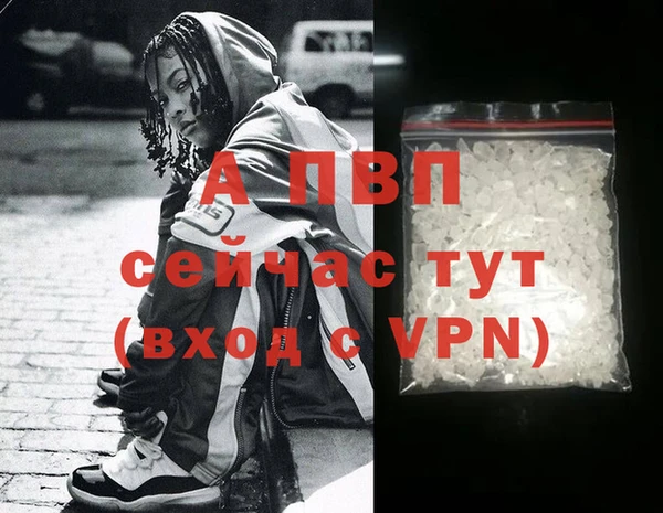 индика Медногорск