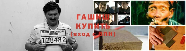 индика Медногорск