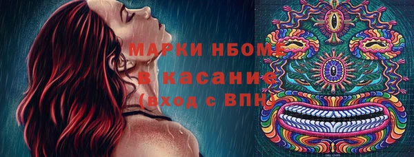 индика Медногорск