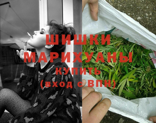 индика Медногорск