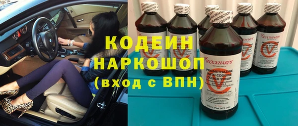 индика Медногорск