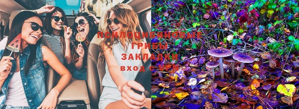 таблы Медвежьегорск