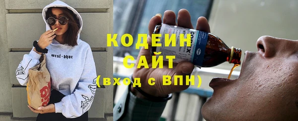 индика Медногорск