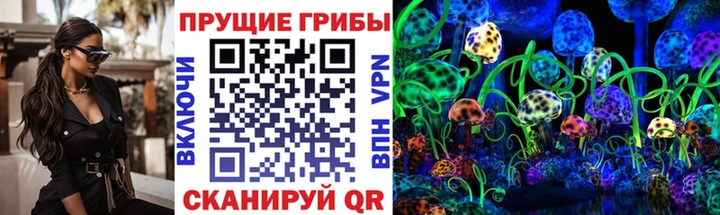 Галлюциногенные грибы GOLDEN TEACHER  OMG ТОР  Шарья  купить наркотик 